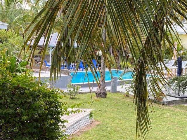 The Sunset Cove And Rainbow Room Alice Town  Extérieur photo